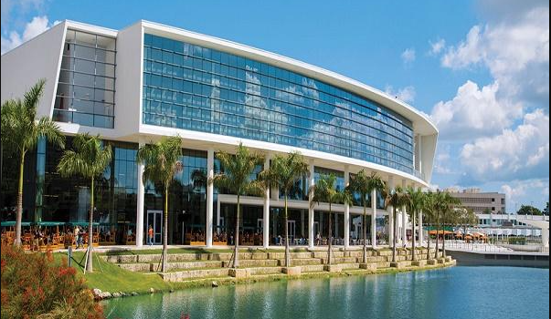 Top 10 Universities in Miami